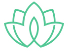 VRSS